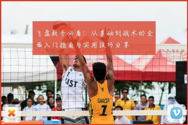 飞盘新手必看：从基础到战术的全面入门指南与实用技巧分享