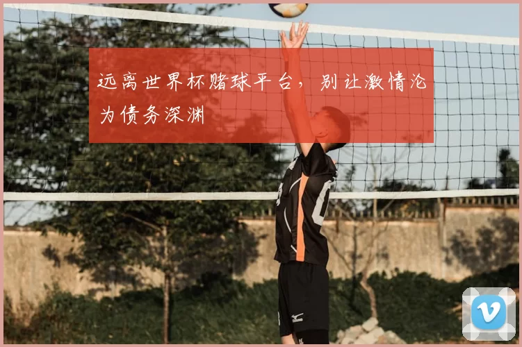 远离世界杯赌球平台，别让激情沦为债务深渊