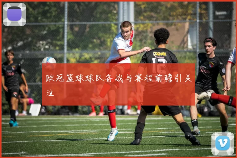 欧冠篮球球队备战与赛程前瞻引关注