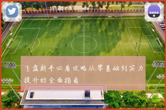 飞盘新手必看攻略从零基础到实力提升的全面指南