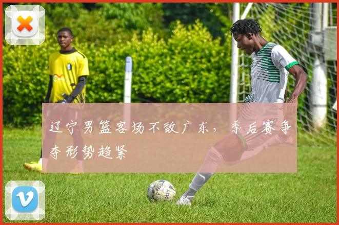 辽宁男篮客场不敌广东,季后赛争夺形势趋紧