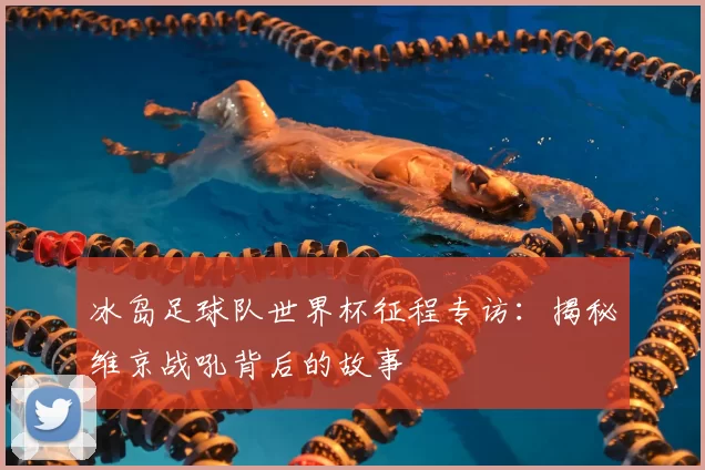 冰岛足球队世界杯征程专访：揭秘维京战吼背后的故事
