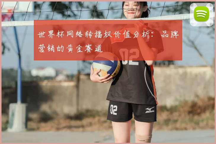 世界杯网络转播权价值分析：品牌营销的黄金赛道